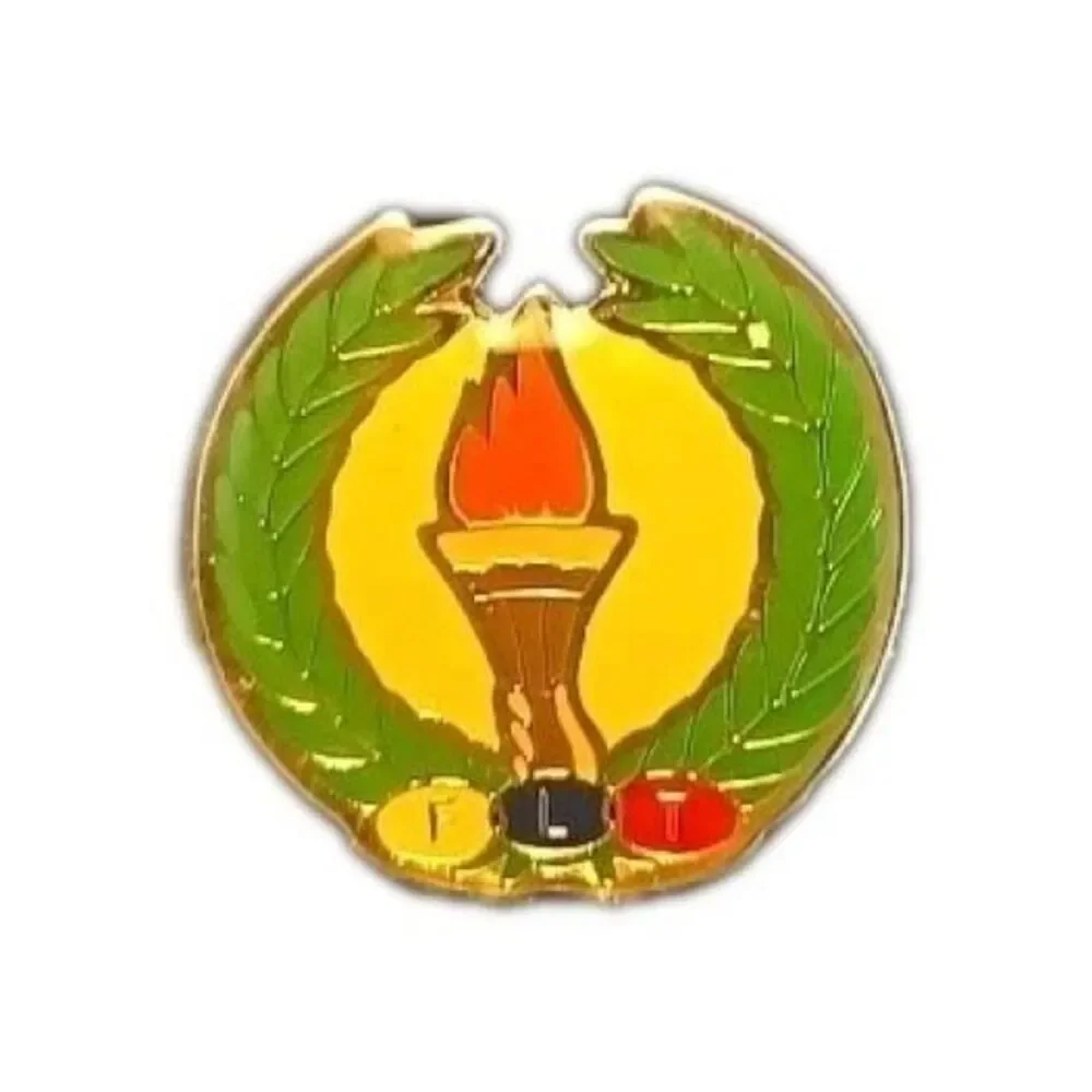 Vintage IOOF Odd Fellows Torch Lapel Pin FLT Friendship Love Truth Enamel Badge